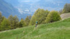 JeizAlbi_Nen_14_009
