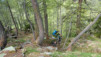 JeizAlbi_Nen_14_016