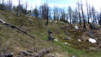 JeizAlbi_Nen_14_030