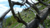 JeizAlbi_Nen_14_038