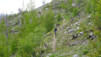 JeizAlbi_Nen_14_039