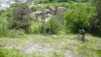 JeizAlbi_Nen_14_043