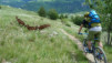 JeizAlbi_Nen_14_046