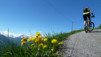 Jeizinen_2013_003