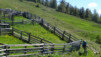 Jeizinen_2013_013