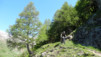 Jeizinen_2013_017