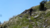 Jeizinen_2013_056