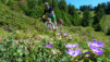 Wanderwege, que nous n'allons plus quitter jusqu'à notre retour en plaine, dans 5 heures. Jeizinen_Albinen_11_004