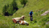Du Wanderweg habité. Jeizinen_Albinen_11_007