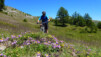Du Wanderweg fleuri. Jeizinen_Albinen_11_016