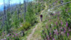 Du Wanderweg surchauffé. Jeizinen_Albinen_11_029