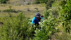 Du Wanderweg furtif. Jeizinen_Albinen_11_030