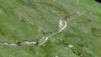 Jeizinen_Albinen_12_029