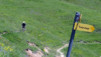 Jeizinen_Albinen_12_037