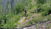 Jeizinen_Albinen_12_042
