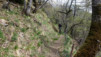 Jeizinen_Bratsch_008