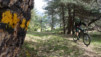 Jeizinen_Bratsch_010