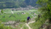 Jeizinen_Bratsch_026