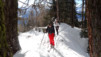 Jeizinen_Schwarzhorn_007