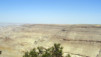 Kings_Road_002.jpg