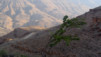 Kings_Road_008.jpg