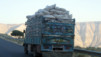 Kings_Road_019.jpg