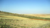 Kings_Road_022.jpg