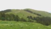 La_Berra_06_06.jpg