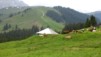 La_Berra_06_17.jpg
