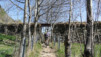 Leiggern_027