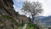Lentine_Bordzi_002.jpg