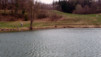 Lentine_Bordzi_008.jpg