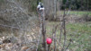 Lentine_Bordzi_010.jpg