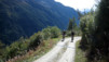 La piste de Restialp et Kummenalp n'en finit pas de dérouler ses lacets comme pour rendre notre ascension moins exigeante physiquement et nous laisser tous loisirs d'apprécier la beauté des lieux. Loetschental_005.jpg
