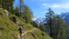 Et au milieu file un sentier. Loetschental_014.jpg