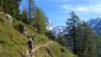 Et au milieu file un sentier. Loetschental_014.jpg