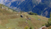Next Stage : Steinegga. Option : Full Gaz Loetschental_023.jpg