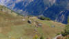Next Stage : Steinegga. Option : Full Gaz Loetschental_023.jpg