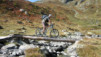 Milibach Bridge. Loetschental_027.jpg