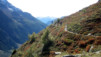 Notre projet du Loetschental par sa rive droite, ça devait avant tout être une histoire de chemins. Celui de Stalpflie dépasse tous nos espoirs. Loetschental_036.jpg
