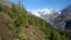 Le début de la descente vers la profonde combe d'Im Tellin : le chemin choisit de se perdre (et par la même occasion de nous perdre aussi) parmi les mélèzes d'altitude. Loetschental_038.jpg