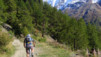 Insensibles à la poésie oberwalliser chantée, nous choisissons sans regrets d'attaquer directement la piste menant aux Schwarzee. Loetschental_042.jpg