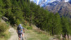 Insensibles à la poésie oberwalliser chantée, nous choisissons sans regrets d'attaquer directement la piste menant aux Schwarzee. Loetschental_042.jpg