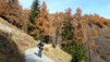 Loetschental_11_001