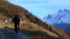 Loetschental_11_005
