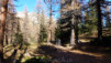Loetschental_11_032