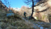 Loetschental_11_035