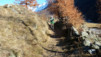 Loetschental_11_042