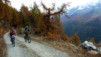 Loetschental_12_001