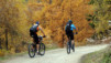 Loetschental_12_002